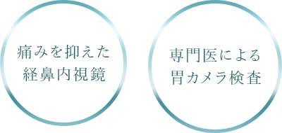 痛みを抑えた経鼻内視鏡 専門医による胃カメラ検査