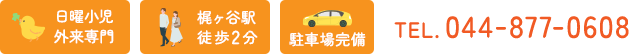 日曜小児外来専門 梶が谷駅徒歩2分 駐車場完備 044-877-0608