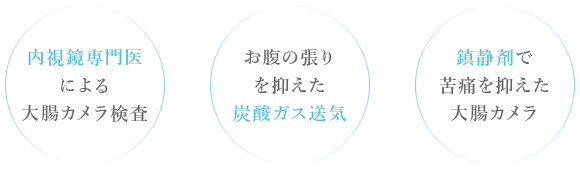 内視鏡専門医による大腸カメラ検査 お腹の張りを抑えた炭酸ガス送気 鎮静剤で苦痛を抑えた大腸カメラ